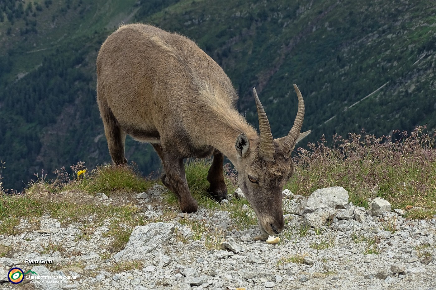44 A pochi passi per un un po' di pane.JPG